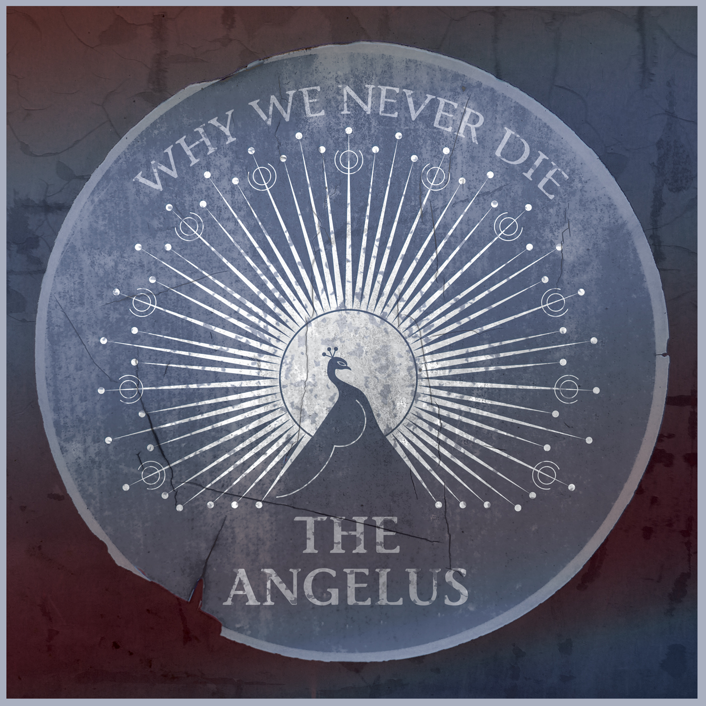 An album cover featuring a peacock, the band name The Angelus, and the album title, Why We Never Die.